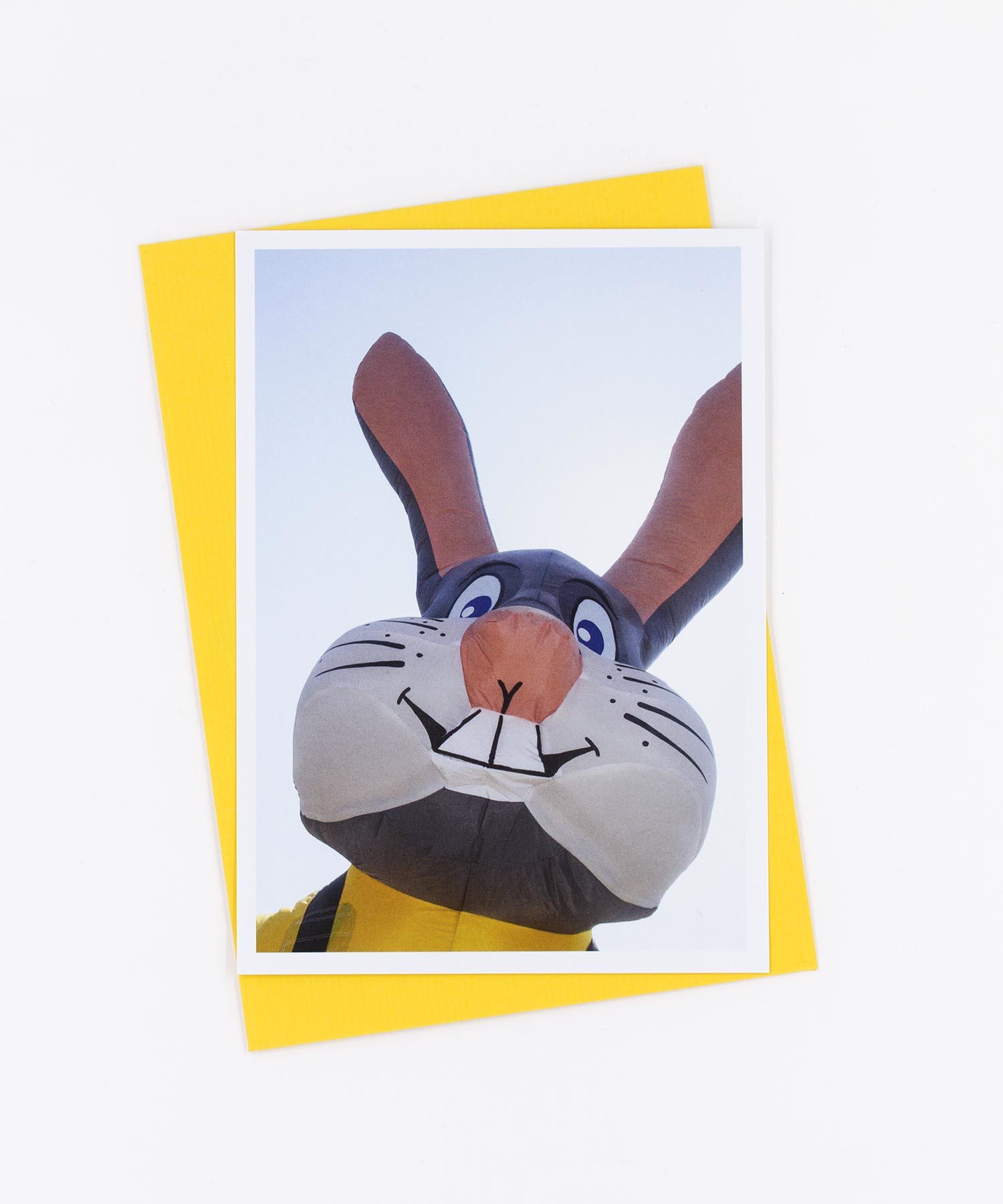 Fotopostkarte Bunny