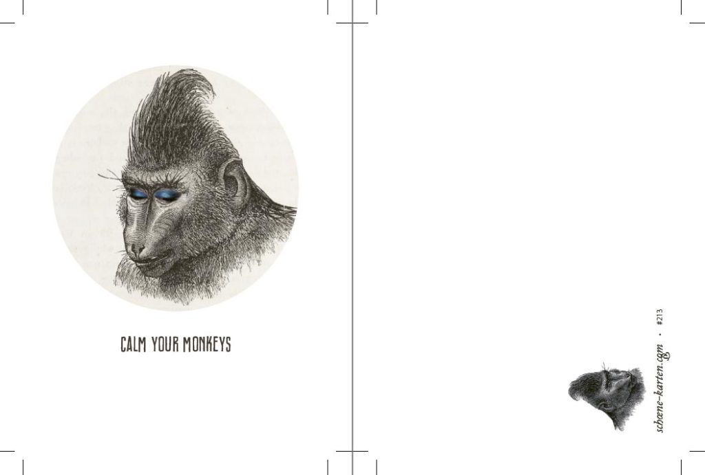 Calm Monkey Calm Your Monkey | How to calm the monkey mind according to a yoga ...